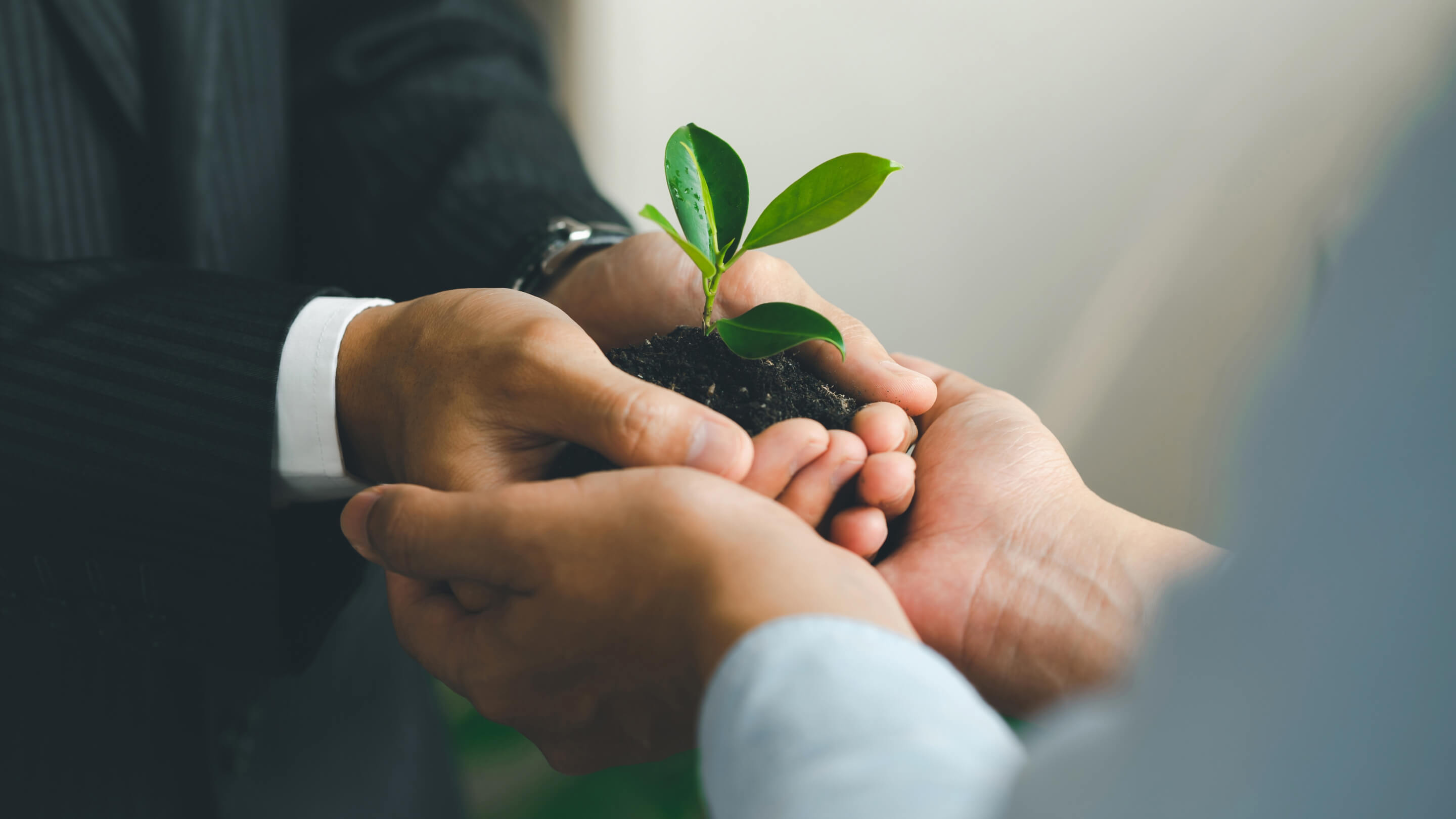 family-office-banner