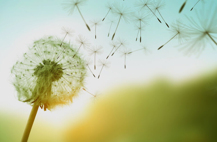 home-services-investment-management-v02