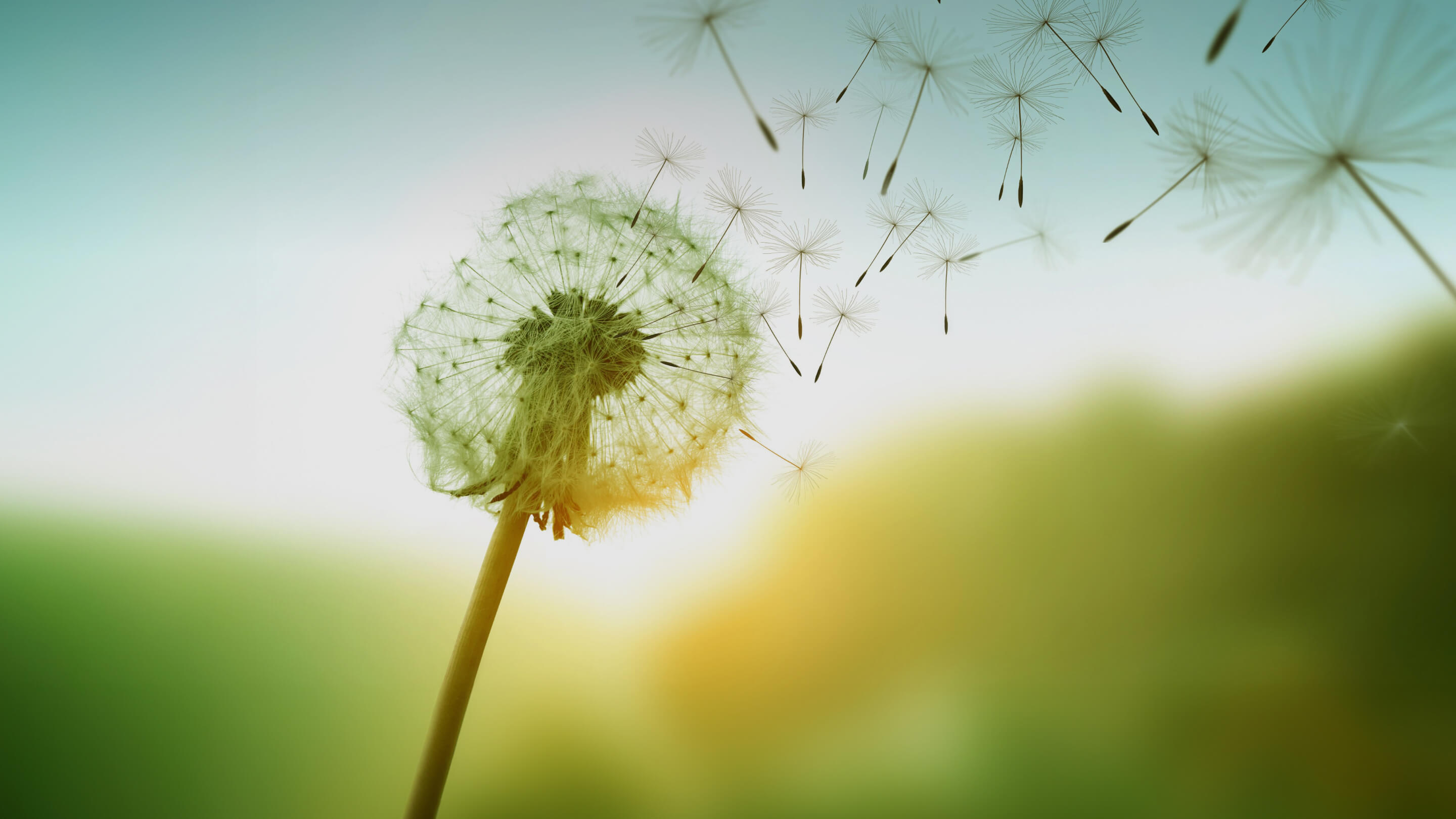 investment-management-banner-v02