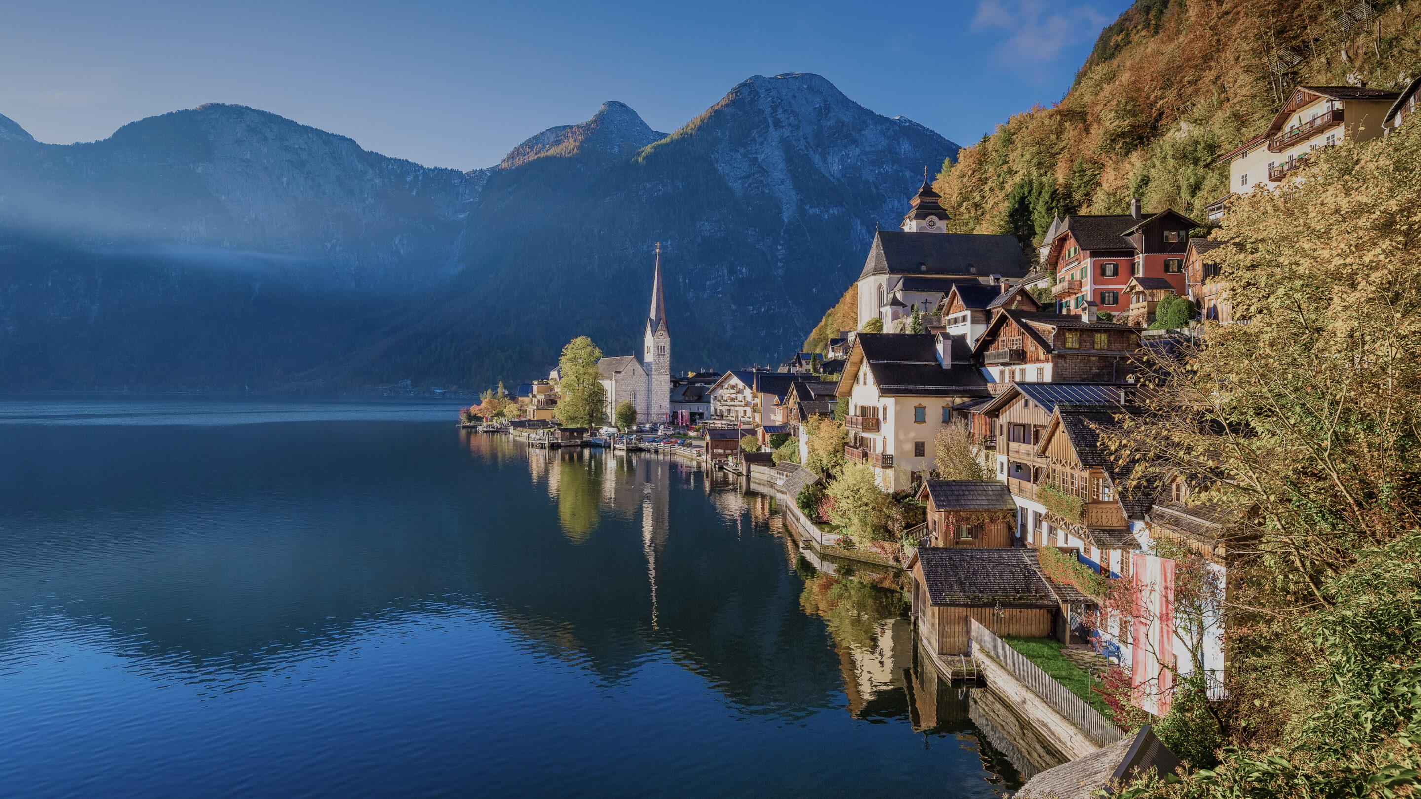 wealth-advisory-banner-v02