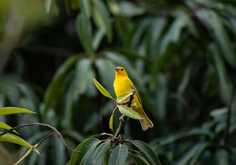 wealth-advisory-img03-v02